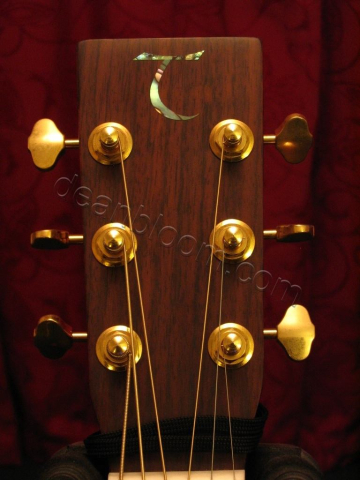 Tanglewood TW70-NS Sundance Acoustic Guitar Head