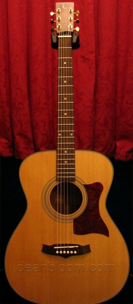 Tanglewood TW70-NS Sundance Acoustic Guitar